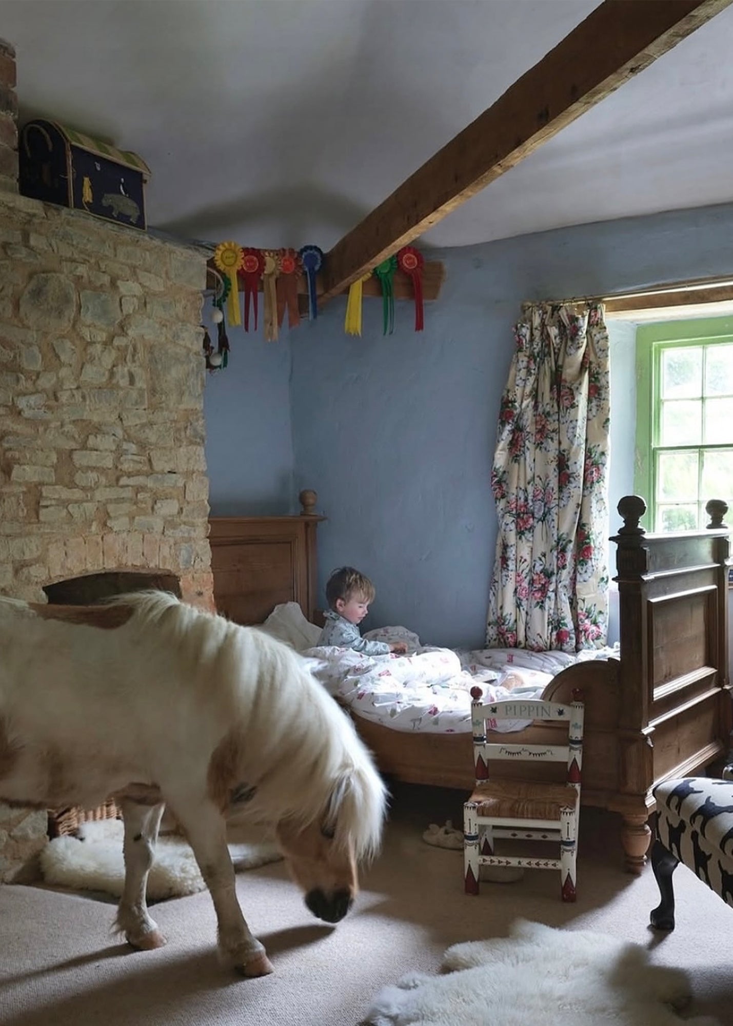 Design Your Own Circus Chair