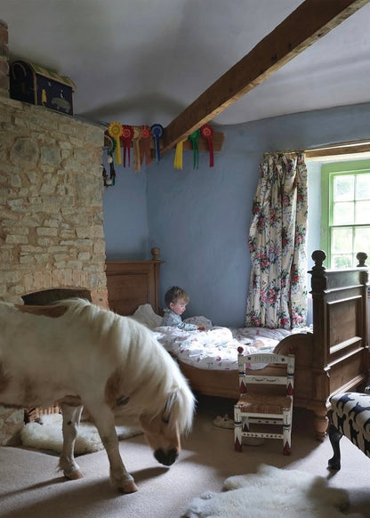 Design Your Own Circus Chair